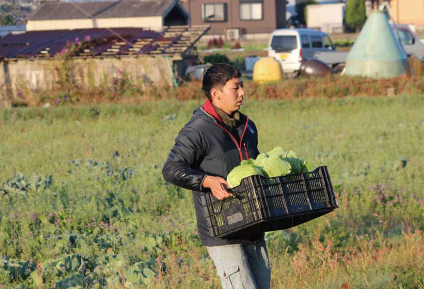 農業に従事する選手たち