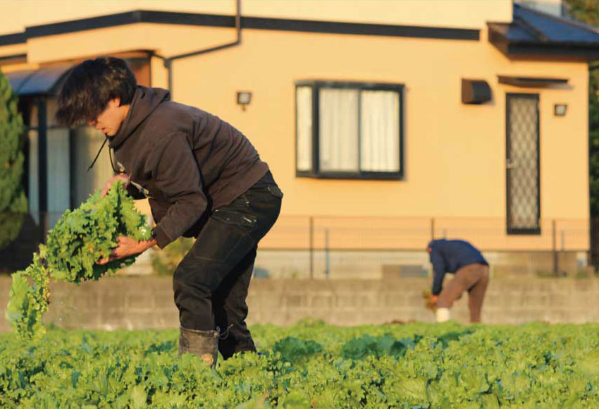 農業に従事する選手たち