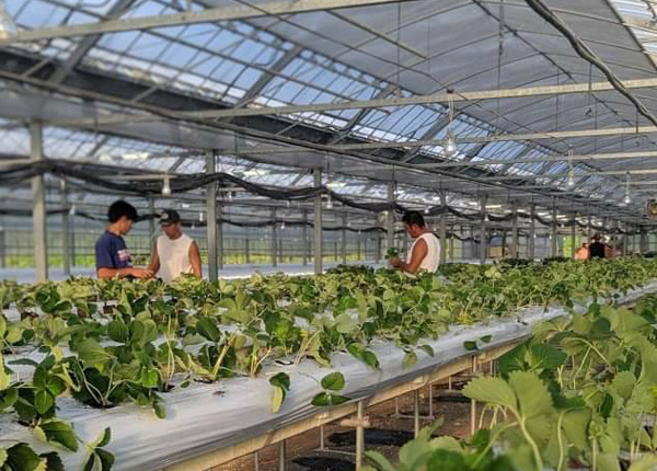 未来のために僕らは何ができるのか画像02