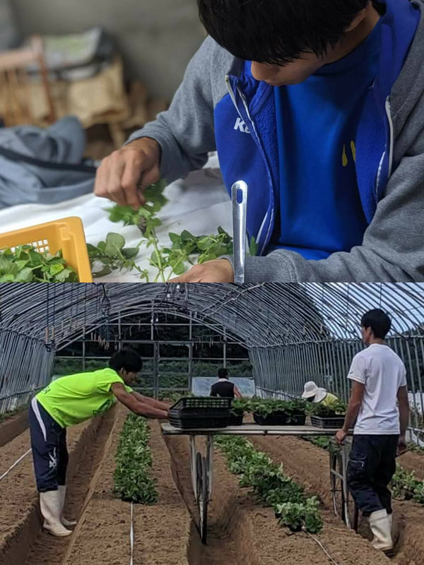 未来のために僕らは何ができるのか