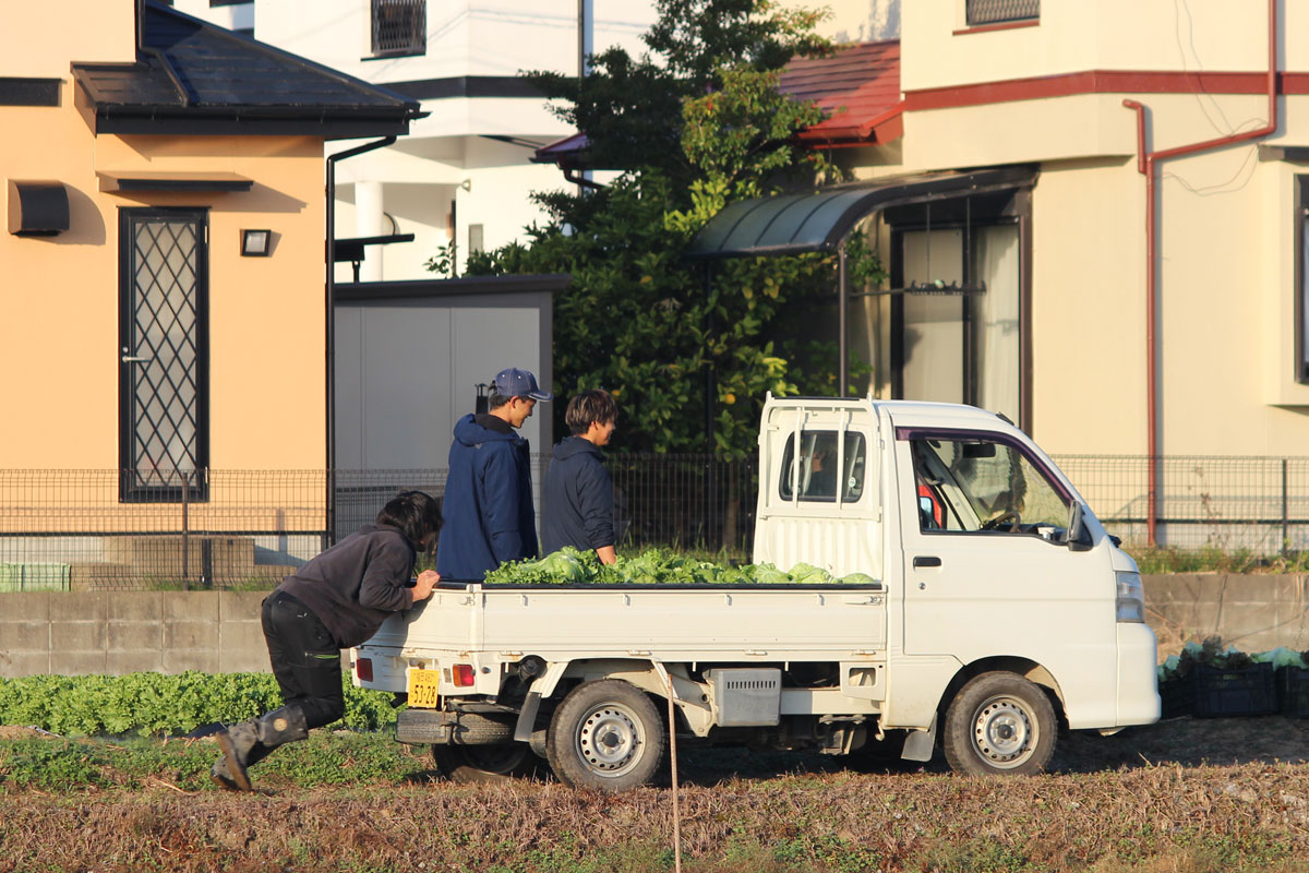 フジテレビ『サスティな！』