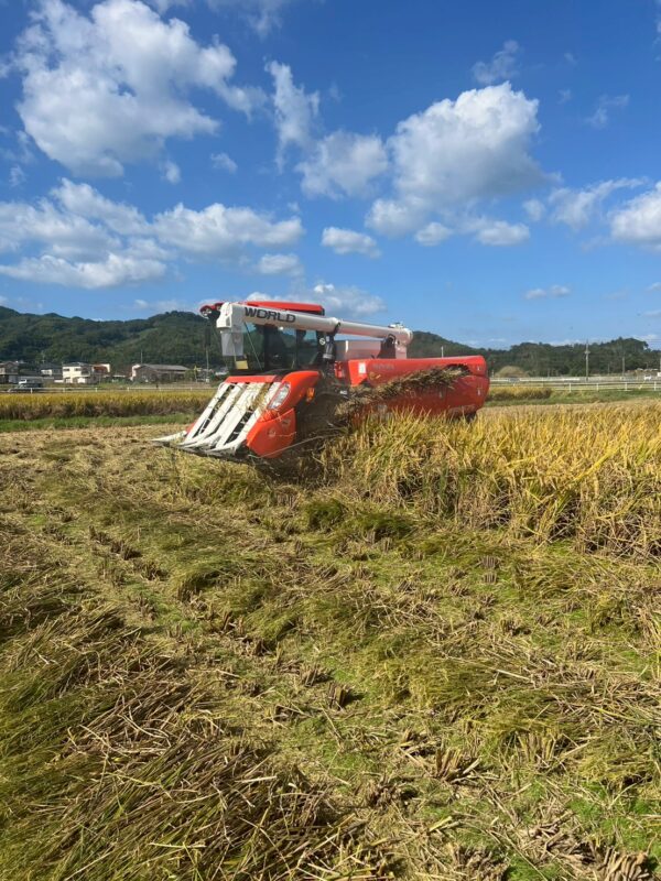 コメ収穫01