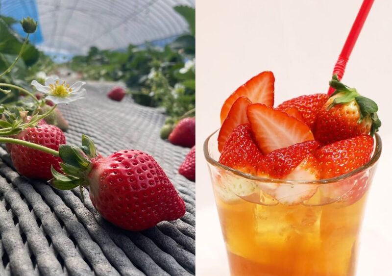 ムレスナティー広島 × GW福岡