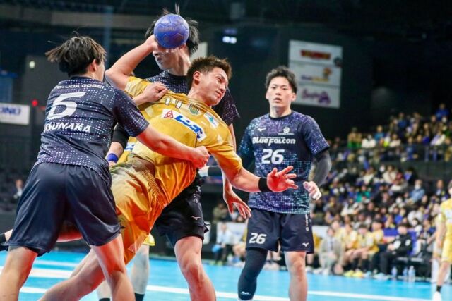 【3.8名古屋大会📸】
2024-25 リーグH  第15節
vs.#豊田合成ブルーファルコン名古屋

※無断転載・転用はご遠慮ください

#ゴールデンウルヴス福岡#goldenwolvesfukuoka#gwf#農業#ハンドボール#handball#リーグH