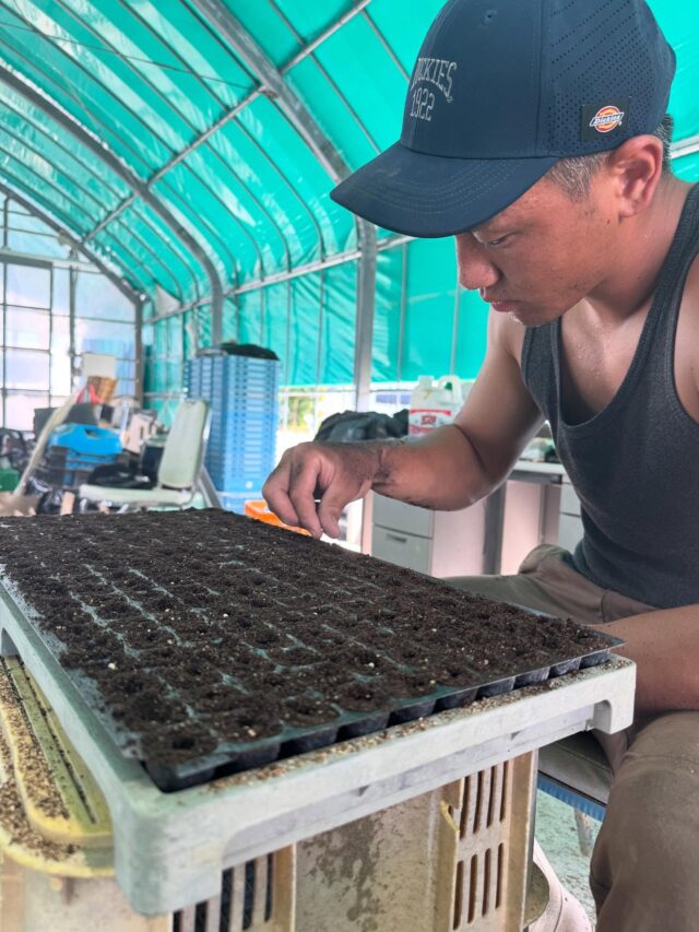 【今日の農作業】

レタスの種蒔き中🧑‍🌾

#ゴールデンウルヴス福岡#goldenwolvesfukuoka#gwf#農業#ハンドボール#handball#リーグH#糸島市