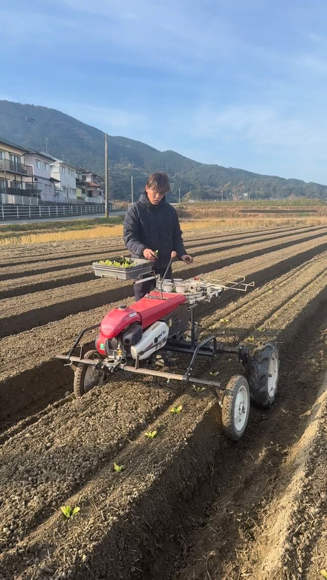 【今日の農作業】

石川選手が初めて定植機を使って白菜の苗を植えました🧑‍🌾

#ゴールデンウルヴス福岡#goldenwolvesfukuoka#gwf#農業#ハンドボールhandballリーグH糸島市