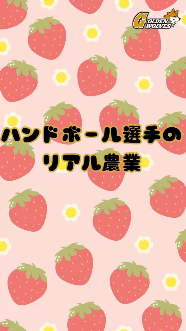【ハンドボール選手のリアル農業】
No.16 #大道滉平
試合と農業を両立しながら、本気でいちごを作ってます🍓

#ゴールデンウルヴス福岡#ウルヴス#農業#ハンドボール