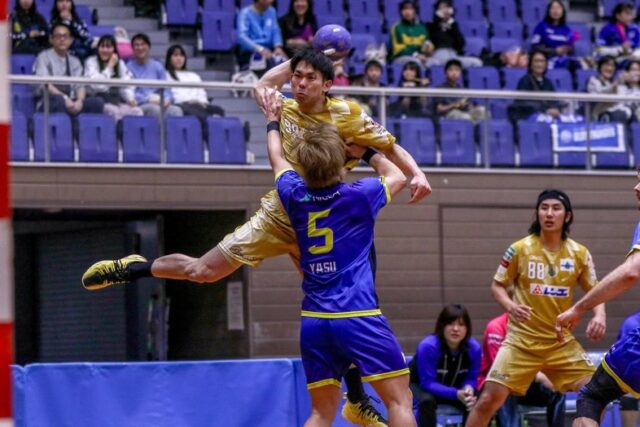 【3.28  Match Photos📸】
2025-26 リーグH  第19節
vs.#福井永平寺ブルーサンダー

※無断転載・転用はご遠慮ください

#ゴールデンウルヴス福岡#農業#ハンドボール#リーグH